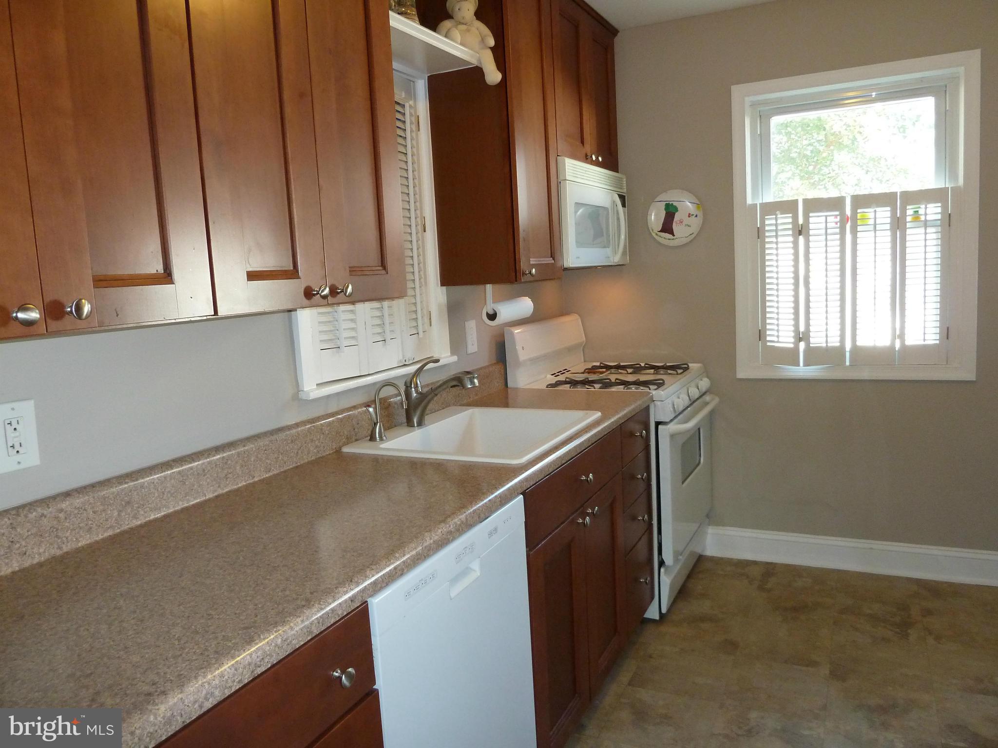 1601 Gridley Lane Silver Spring, MD 20902 - Photo 3 of 30 Kitchen
