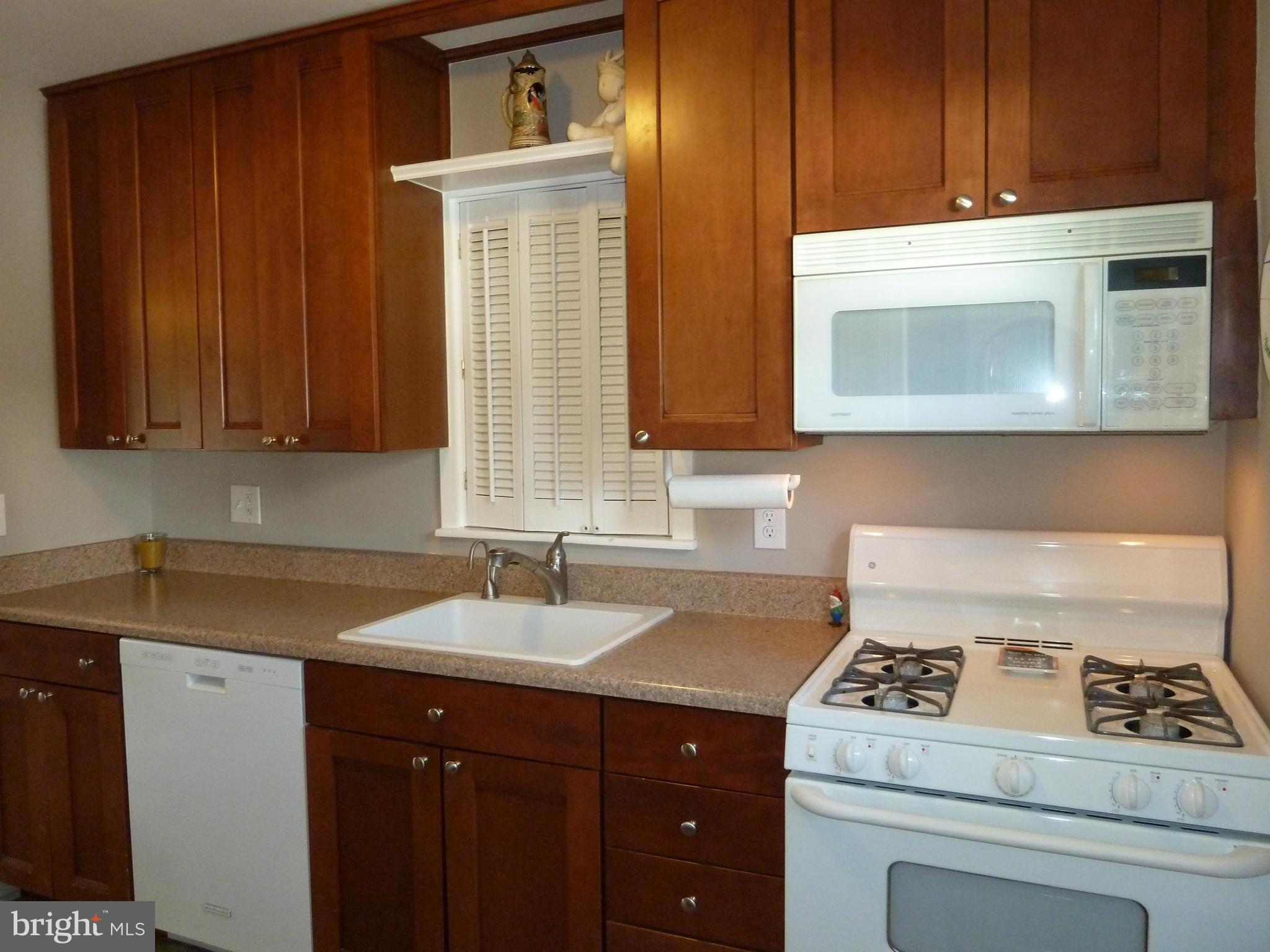 1601 Gridley Lane Silver Spring, MD 20902 - Photo 5 of 30 Kitchen