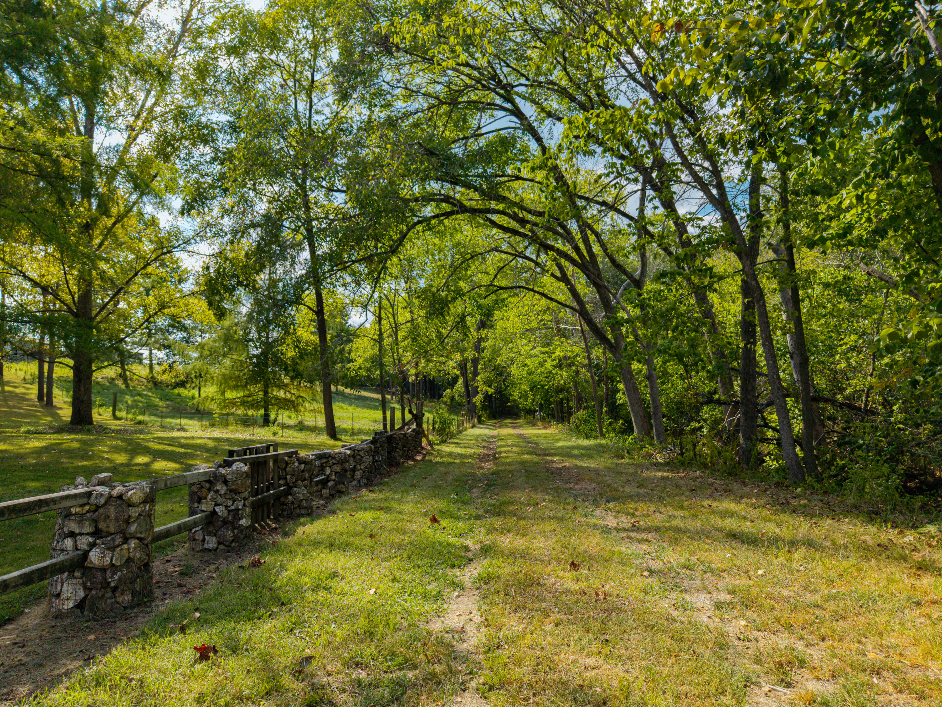 13462 Co Road, Unit Y521 Ava, MO 65608 - Photo 74 of 78 RR 1 Box 399-46