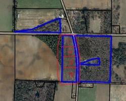 1 Guy Branch Road Cottonwood, AL 36320 - Photo 2 of 2