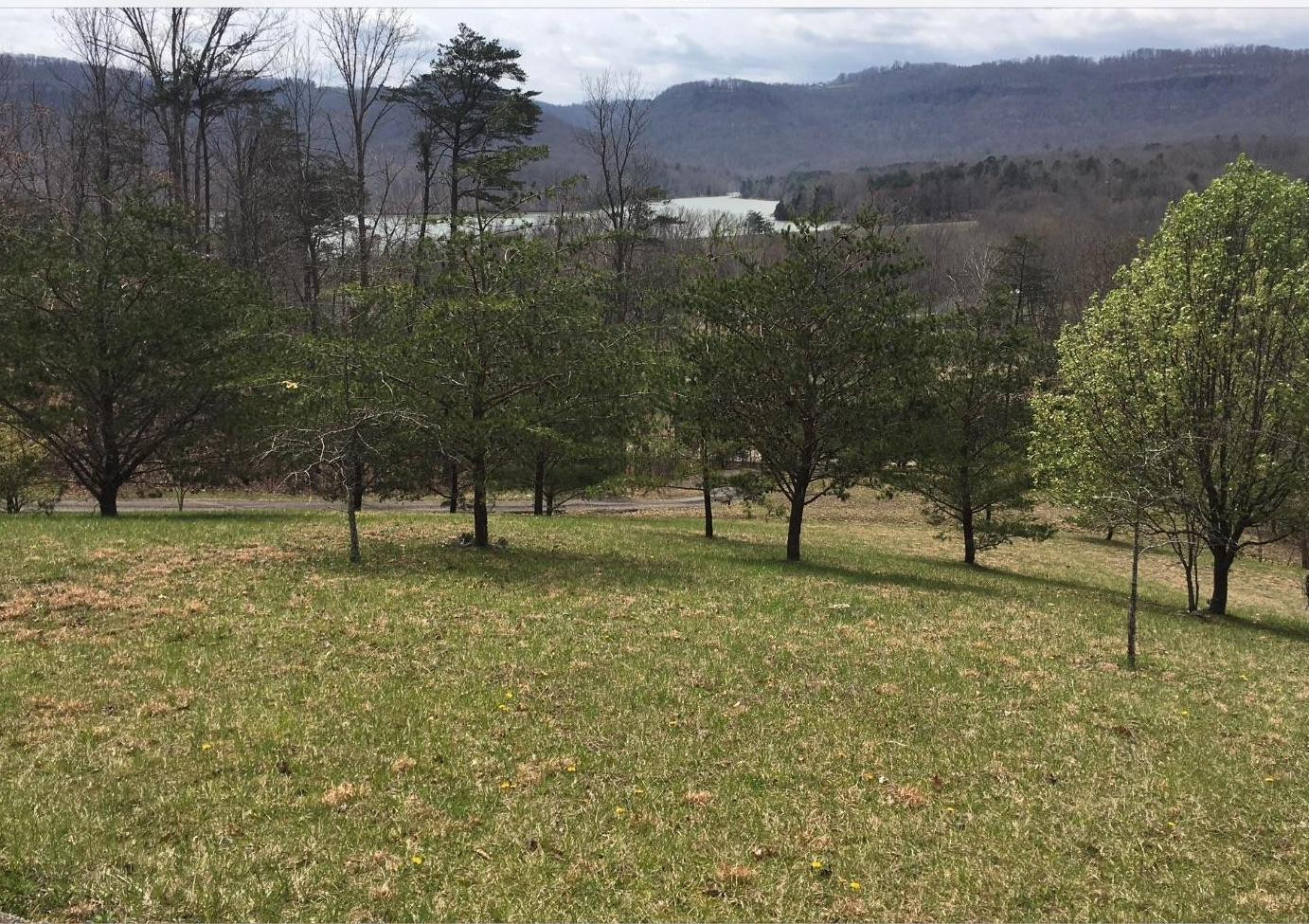 561 Owsley Fork Road Berea, KY 40403 - Photo 3 of 41 Photo 3