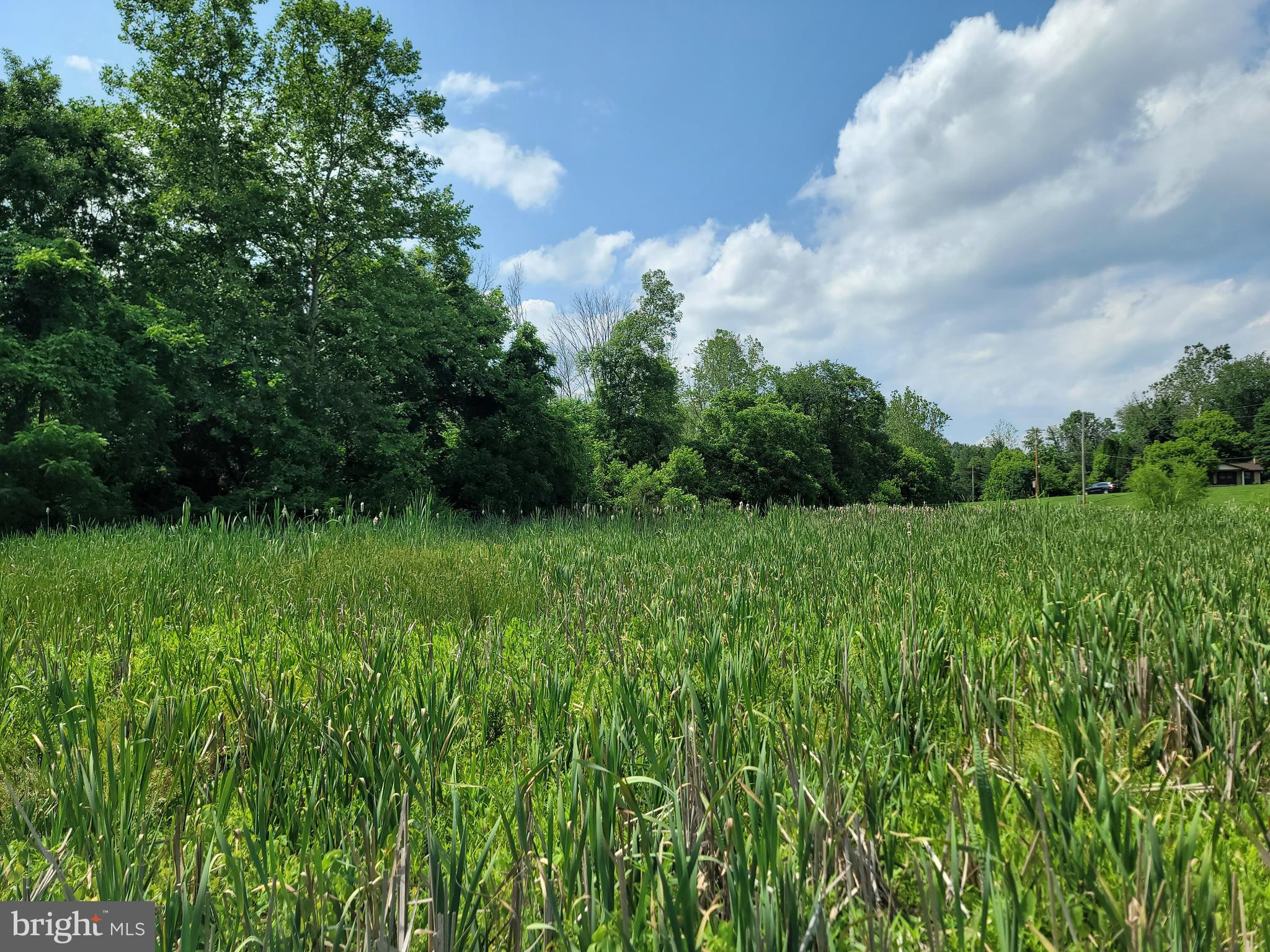 8338 Green Valley Road Union Bridge, MD 21791 - Photo 25 of 64 Gallery Image 25