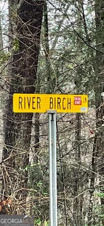 $34,000 | 0 River Birch Lane, Unit LOT 32, Tiger, GA 30576