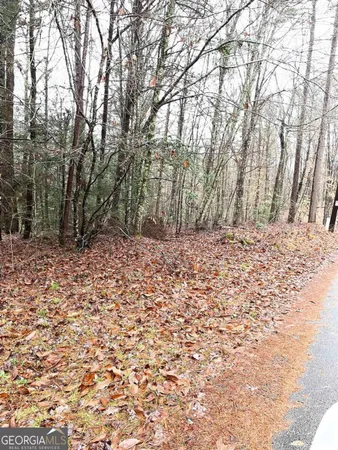 $34,000 | 0 River Birch Lane, Unit LOT 32, Tiger, GA 30576