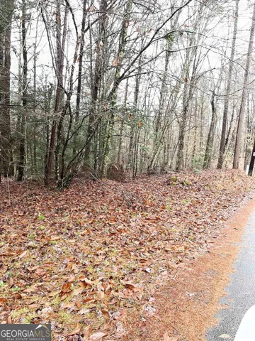$34,000 | 0 River Birch Lane, Unit LOT 32, Tiger, GA 30576
