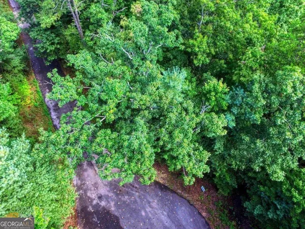 $34,000 | 0 River Birch Lane, Unit LOT 32, Tiger, GA 30576
