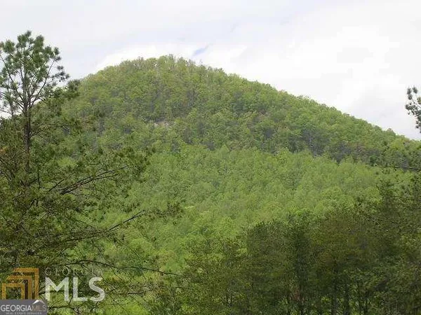 $34,000 | 0 River Birch Lane, Unit LOT 32, Tiger, GA 30576