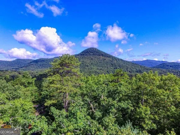 $34,000 | 0 River Birch Lane, Unit LOT 32, Tiger, GA 30576