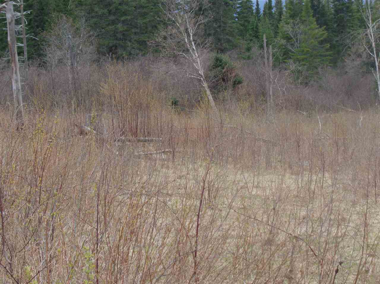 0 Hill Road Pittsburg, NH 03592 - Photo 14 of 18 Gallery Image 14