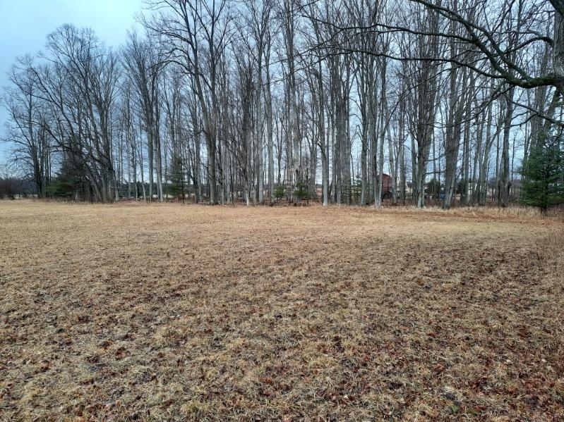 Kings Corner Road Mikado, MI 48745 - Photo 2 of 6