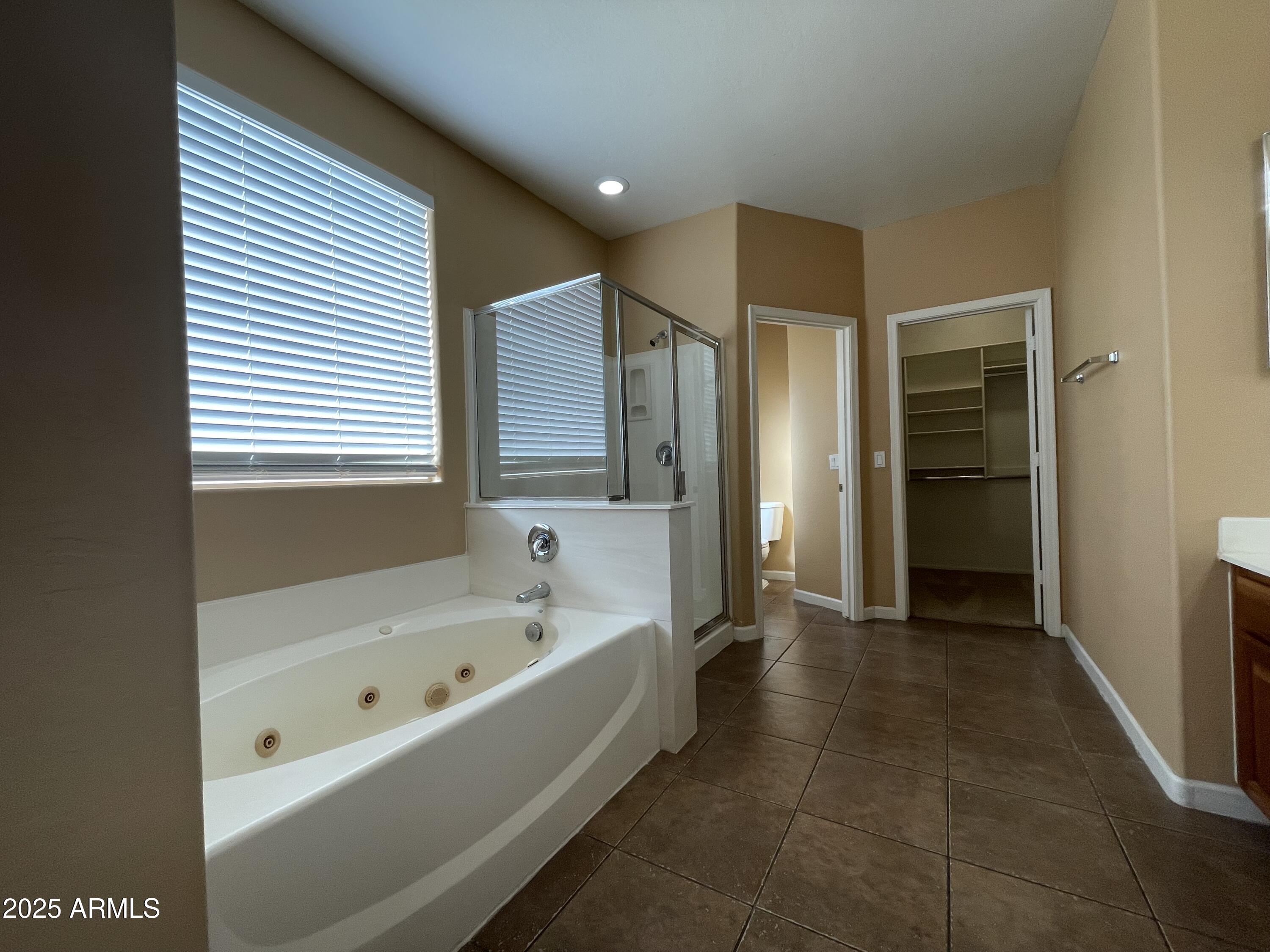 1441 East Thornton Avenue Gilbert, AZ 85297 - Photo 10 of 13 a bathroom with a bathtub and a shower