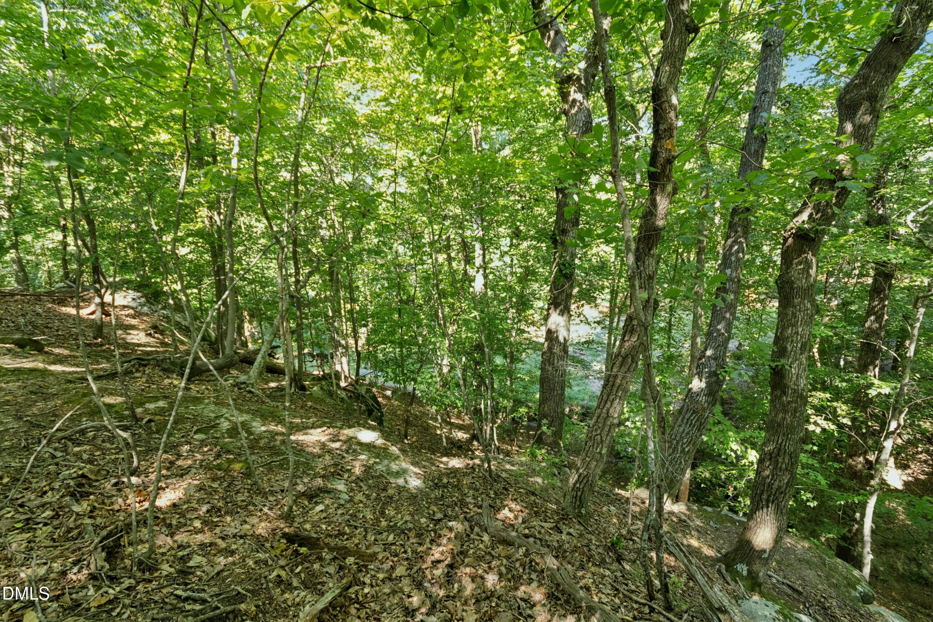 7401 Rocky Ridge Road Wake Forest, NC 27587 - Photo 42 of 46 Small creek below