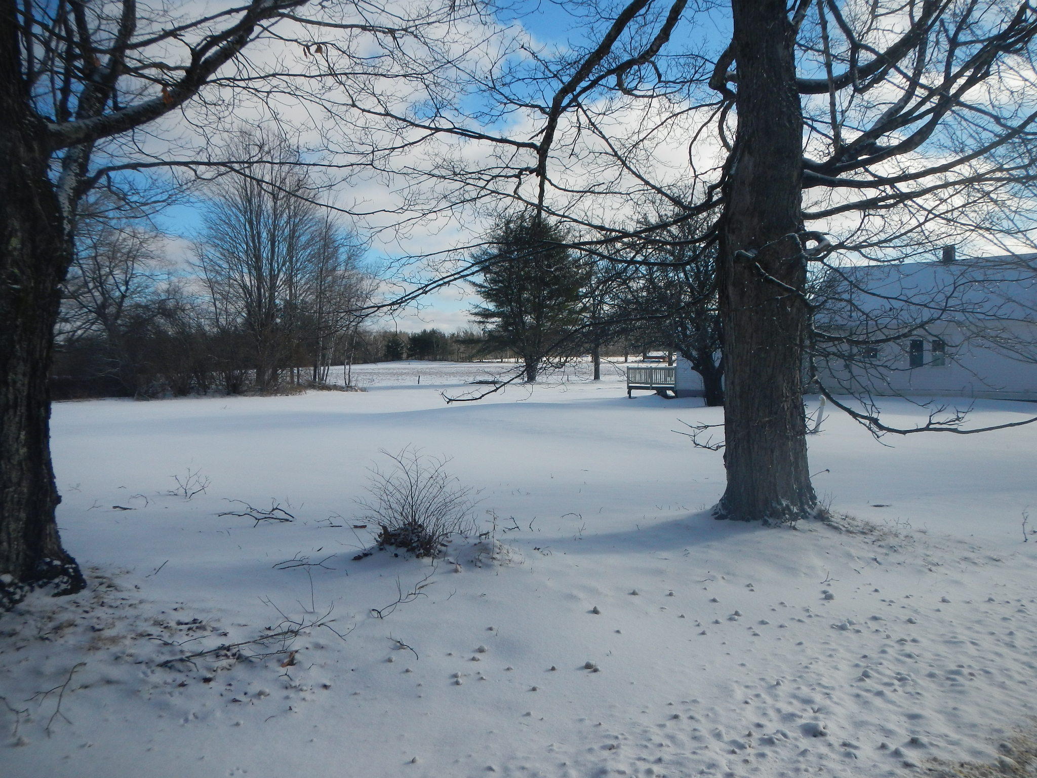 1552 Long Ridge Road Burlington, ME 04417 - Photo 24 of 27 DSCN7583 - Copy