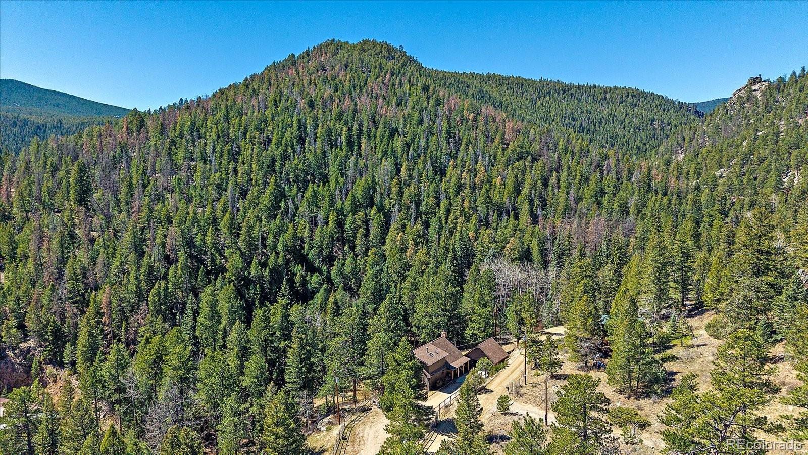1385 Beaver Brook Canyon Road Evergreen, CO 80439 - Photo 2 of 49 a view of a green field with lots of bushes