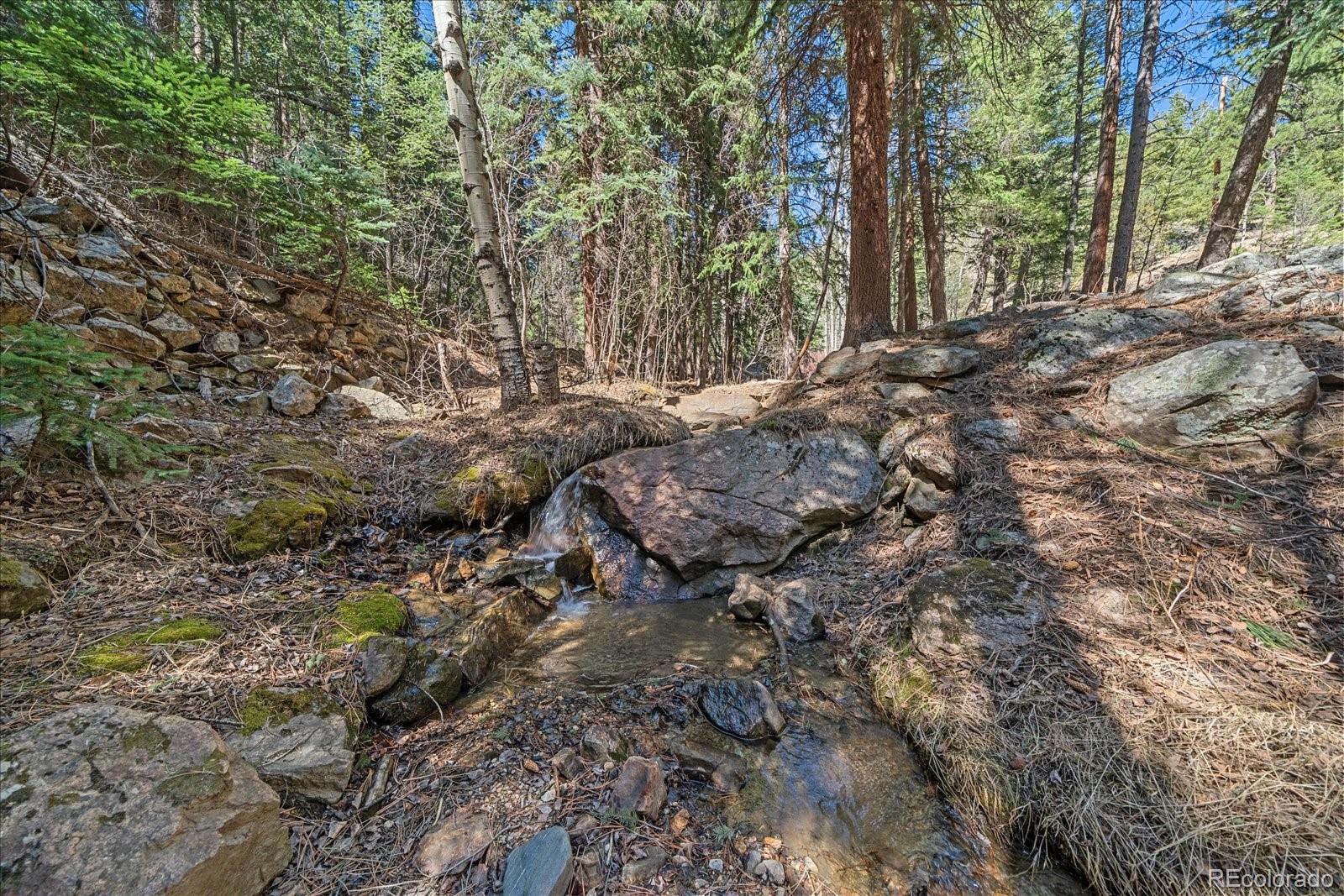1385 Beaver Brook Canyon Road Evergreen, CO 80439 - Photo 41 of 49 a view of a forest with trees