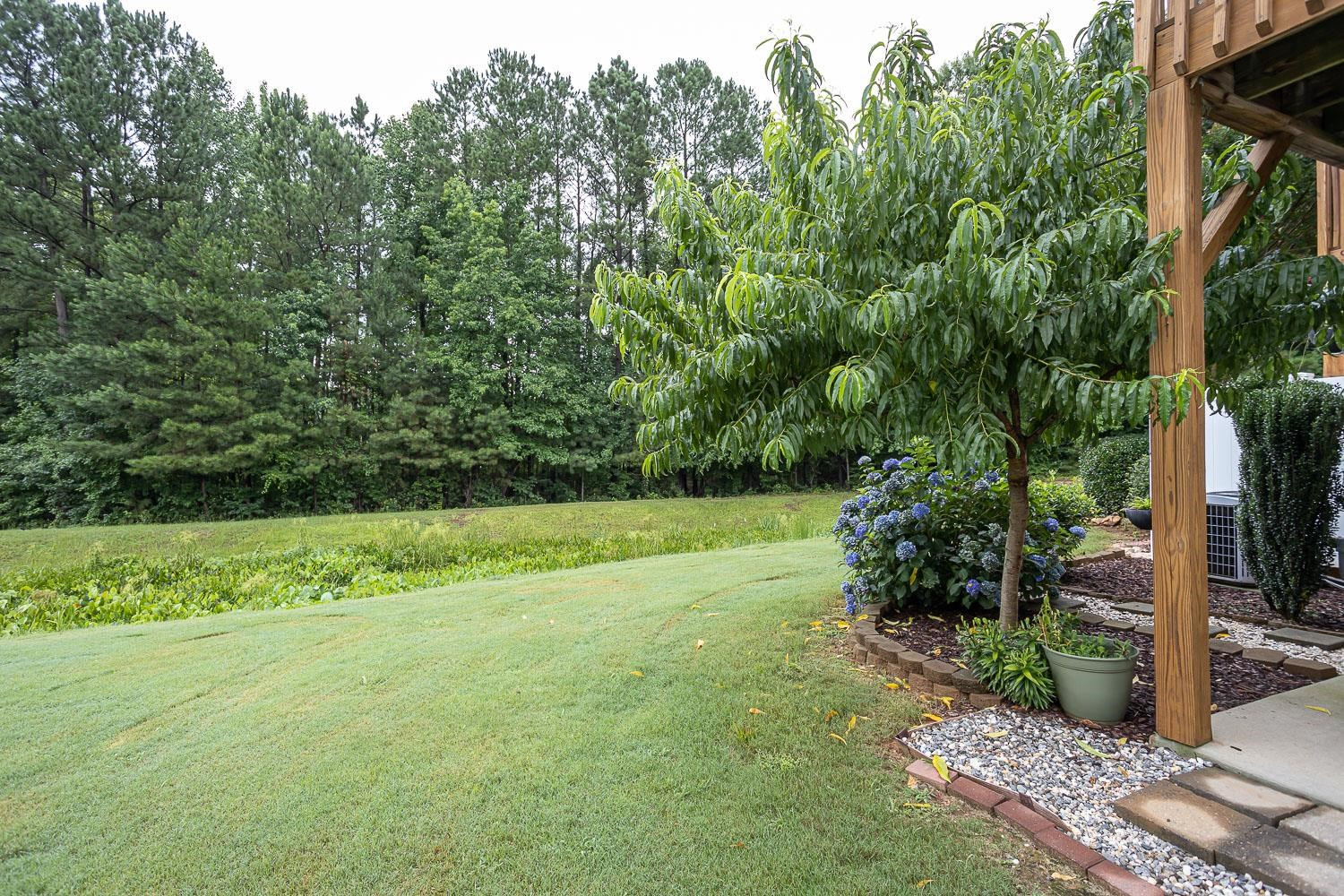 8830 Orchard Grove Way Raleigh, NC 27612 - Photo 22 of 24 Photo 22