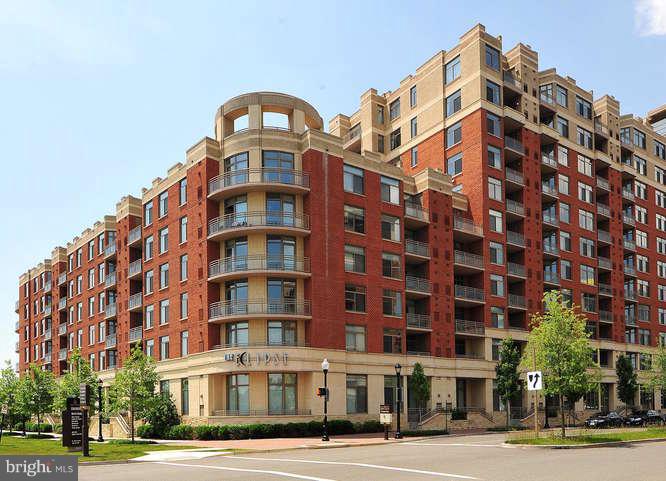 3600 South Glebe Road, Unit 604W Arlington, VA 22202 - Photo 26 of 30 Street View