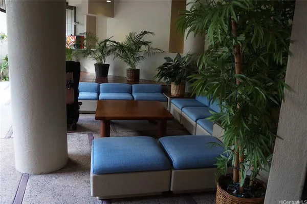 a room with furniture and a potted plant