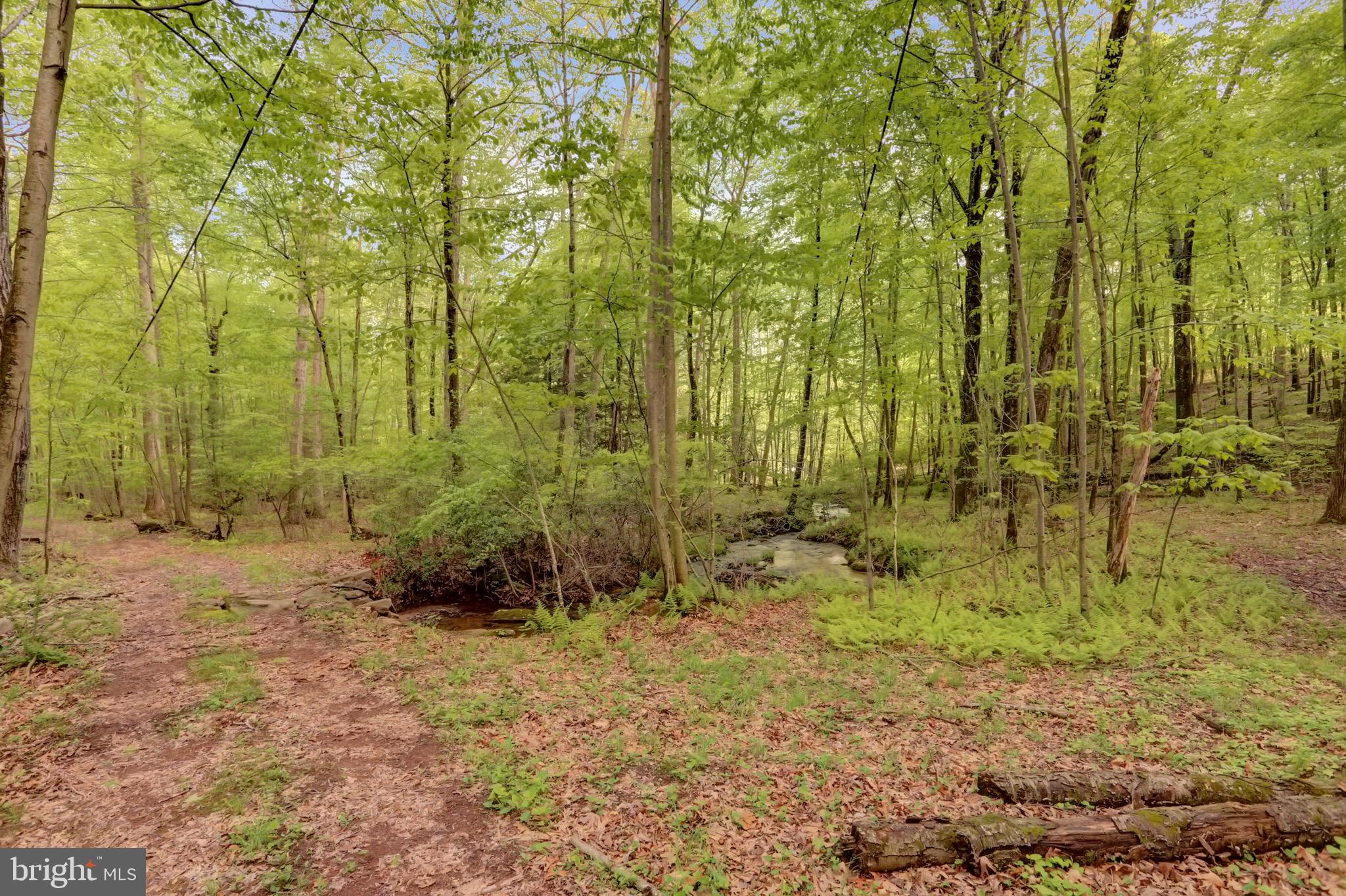 4199 Powells Valley Road Halifax, PA 17032 - Photo 53 of 58 Gallery Image 53