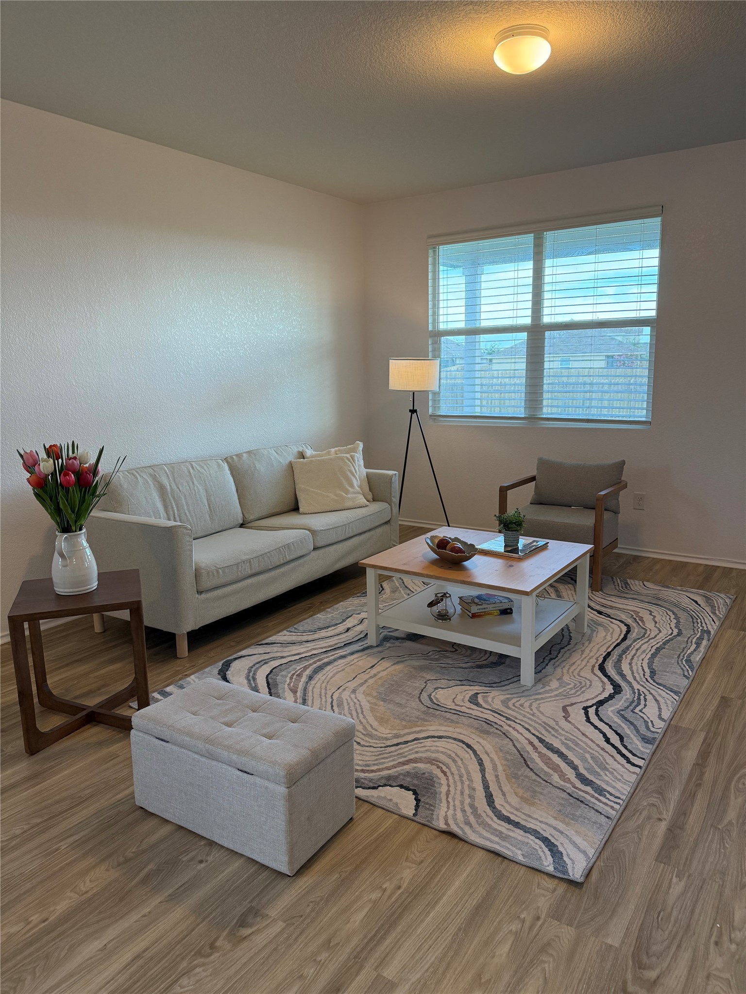 14907 Retha Pass Austin, TX 78725 - Photo 19 of 22 Natural light illuminates the living room, featuring modern flooring and a statement area rug.