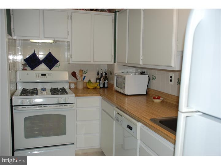 20 Beryl Road Paoli, PA 19301 - Photo 8 of 24 Kitchen