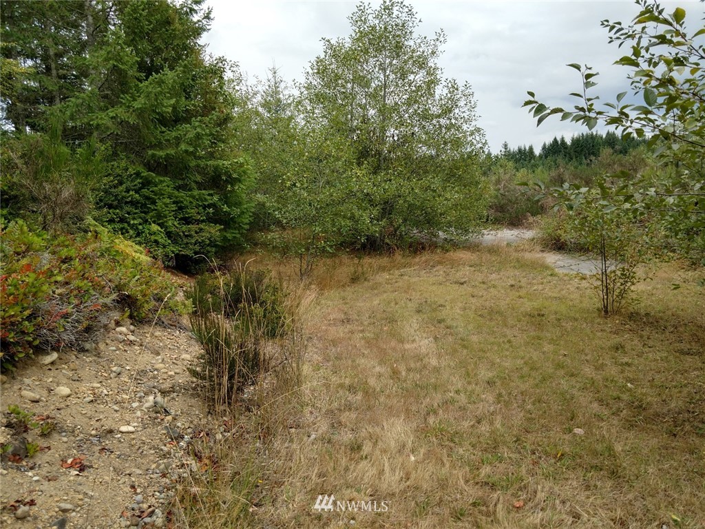 115 Glacier Ridge Road Quilcene, WA 98376 - Photo 24 of 25 Gallery Image 24