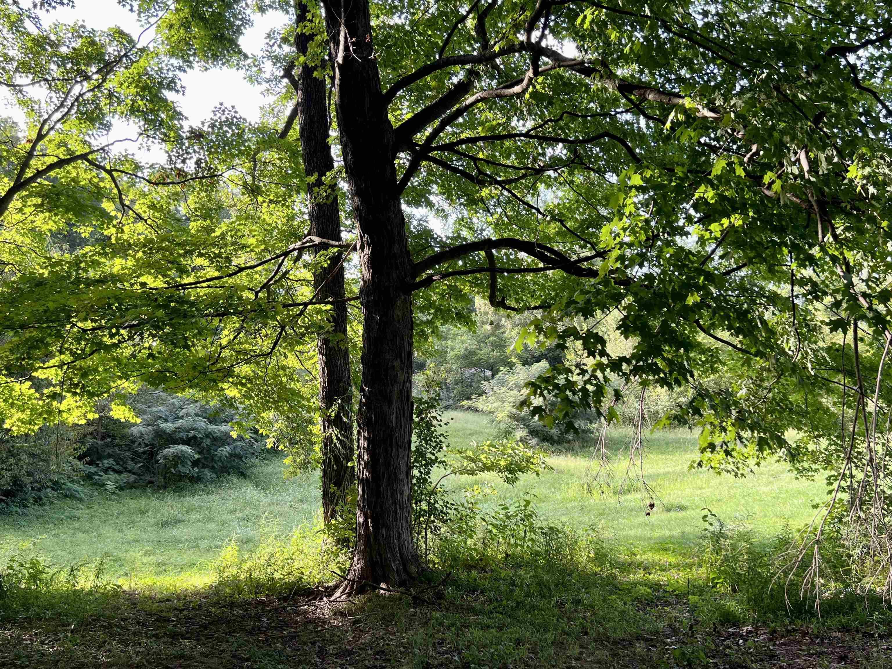 970 South Meridian Road Mitchell, IN 47446 - Photo 26 of 27