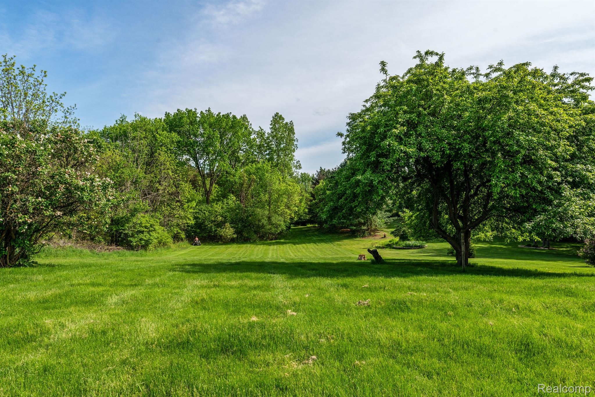 1349 West Cook Road Grand Blanc, MI 48439 - Photo 4 of 20 Gallery Image 4