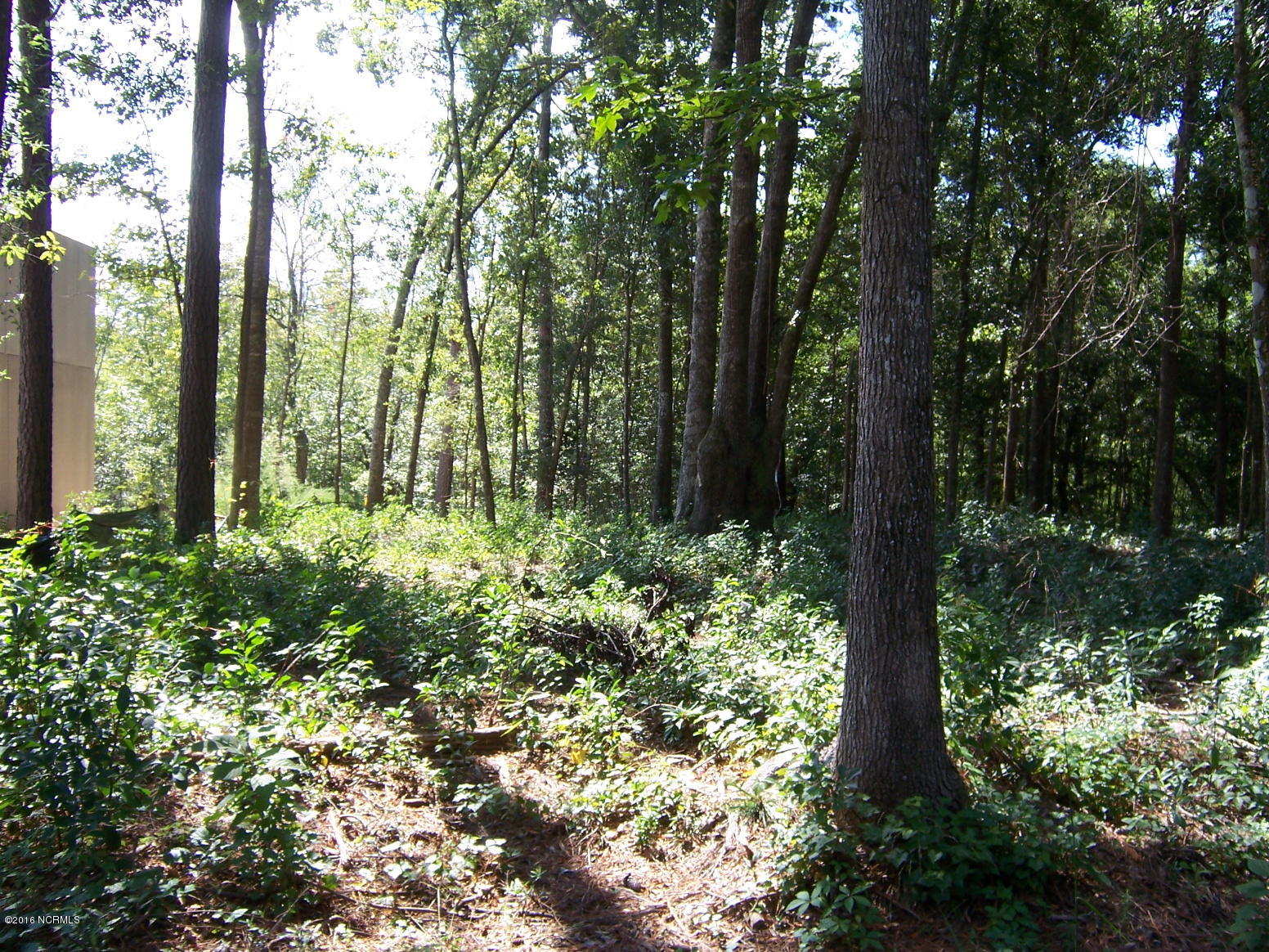 Lot 6 West Gooseneck Road Rocky Point, NC 28457 - Photo 3 of 8 lot 6 Gooseneck Road 003