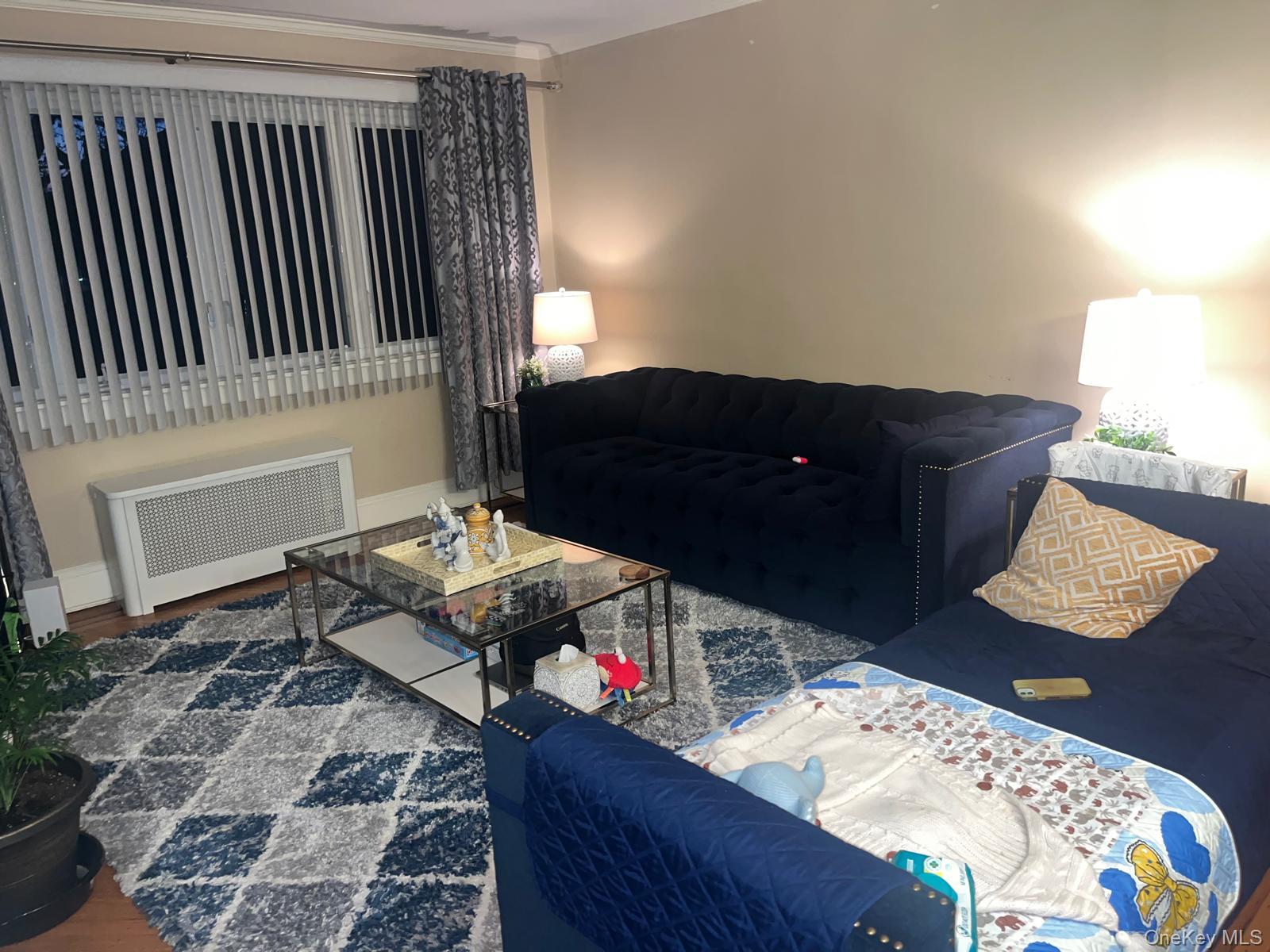 89 Carstairs Road Valley Stream, NY 11581 - Photo 3 of 12