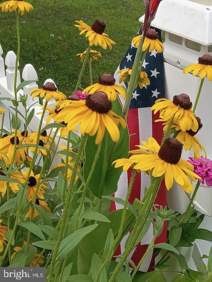 69 Block Falling Waters, WV 25419 - Photo 10 of 59