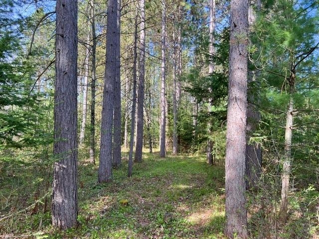 W8263 County Road Pembine, WI 54156 - Photo 6 of 17