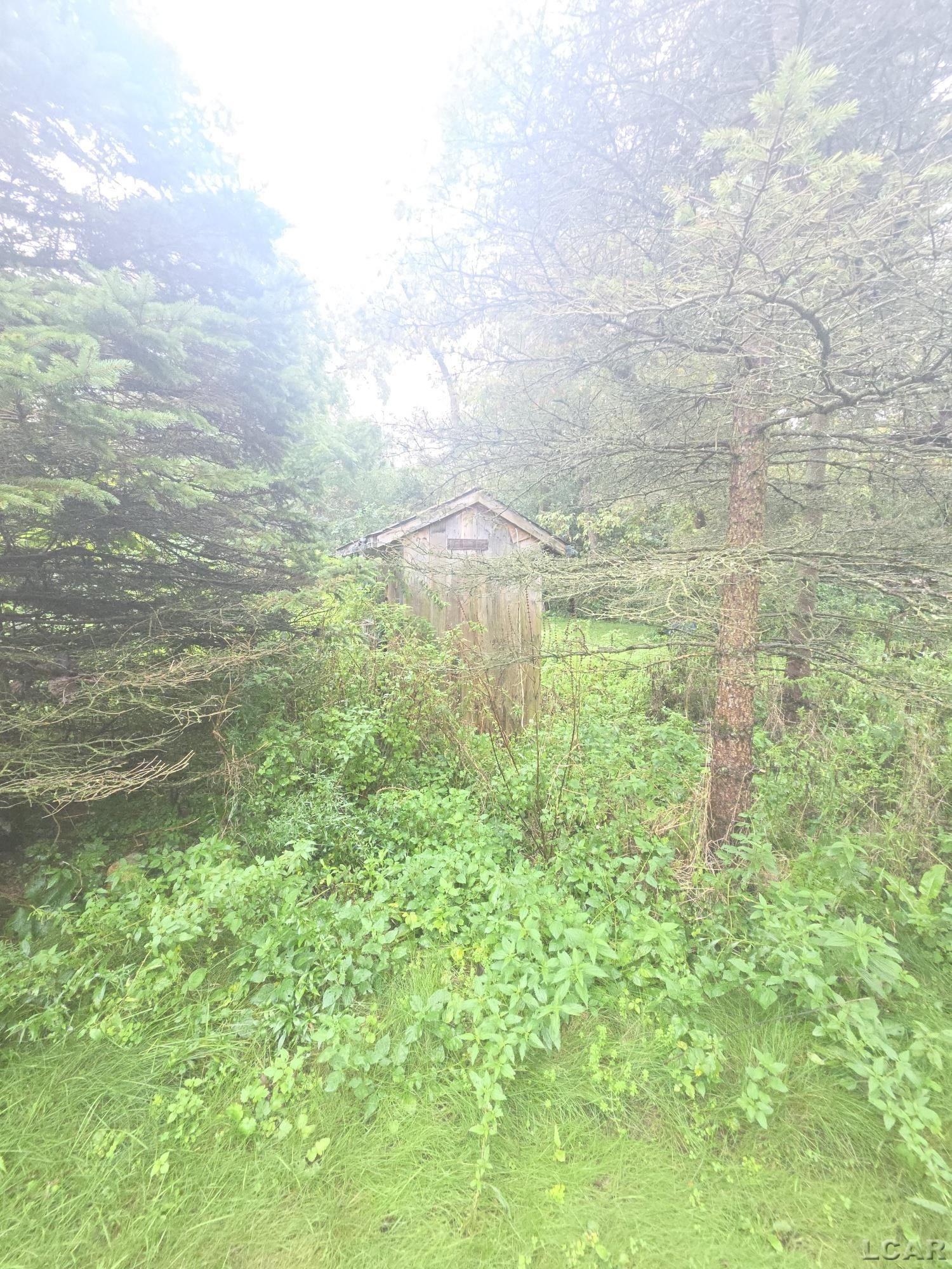 942 Munith Road Jackson, MI 49201 - Photo 9 of 50 50222367-e64e5c31-8eda-4af5-acb3-8d8ad725f7cd.JPG