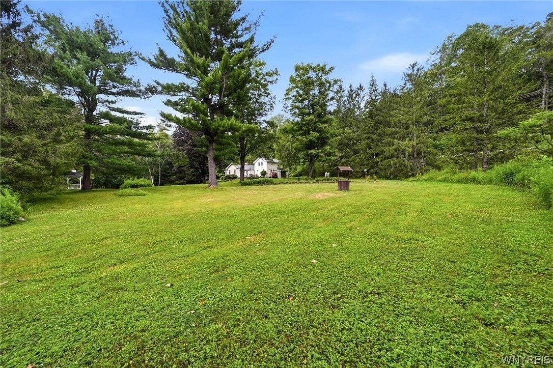 9780 New Oregon Road Eden, NY 14057 - Photo 34 of 50 Gallery Image 34