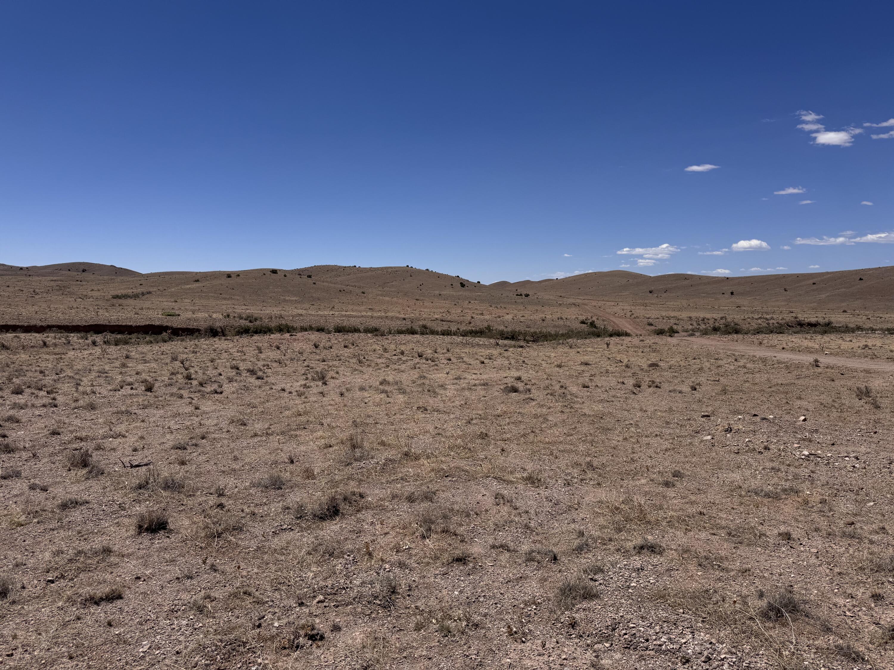 663 Willow Springs Ranch Road Socorro, NM 87801 - Photo 19 of 26 Gallery Image 19