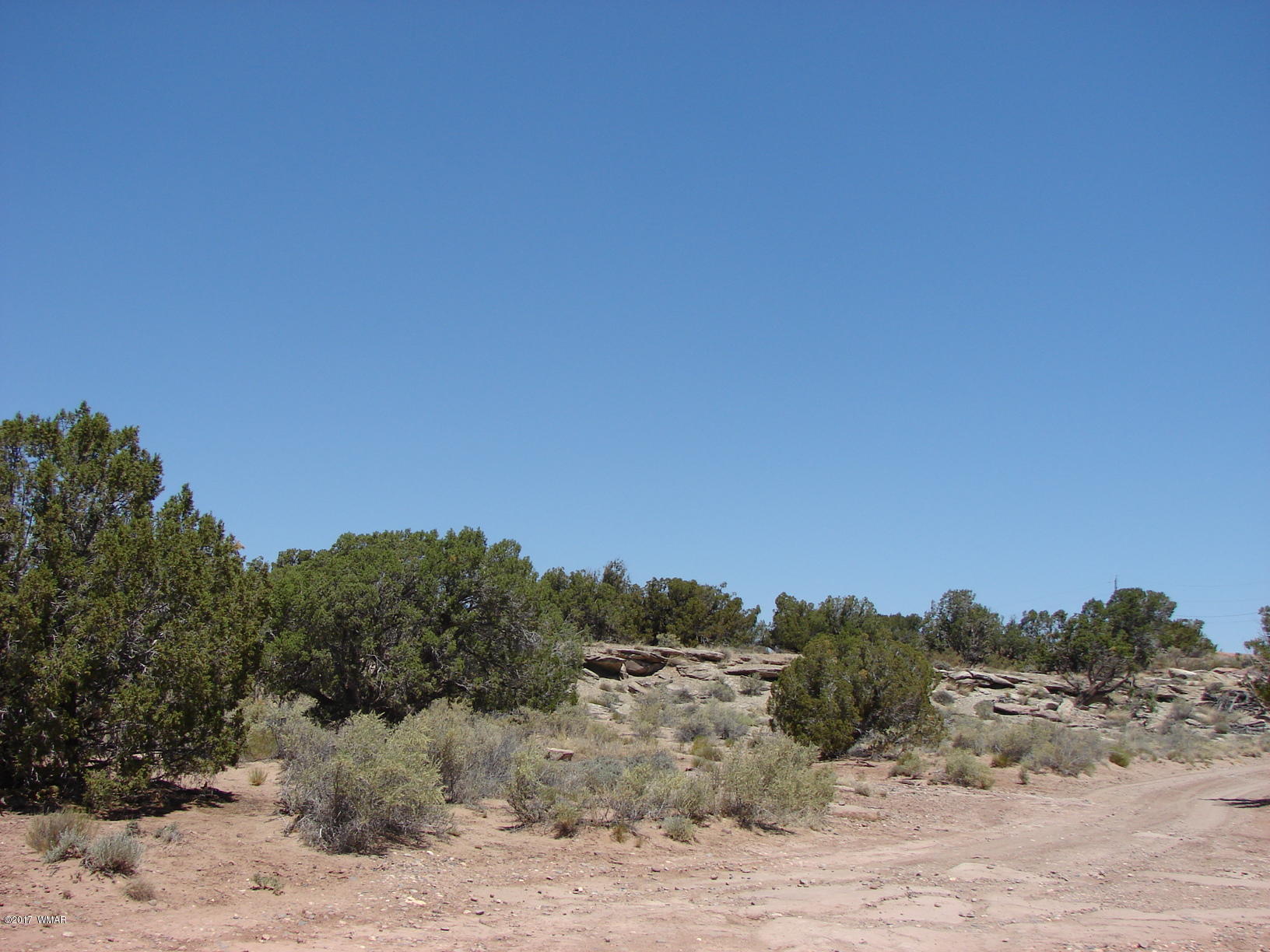 4650 Damron Valley Road Snowflake, AZ 85937 - Photo 2 of 4 a view of a dry yard with trees in the background