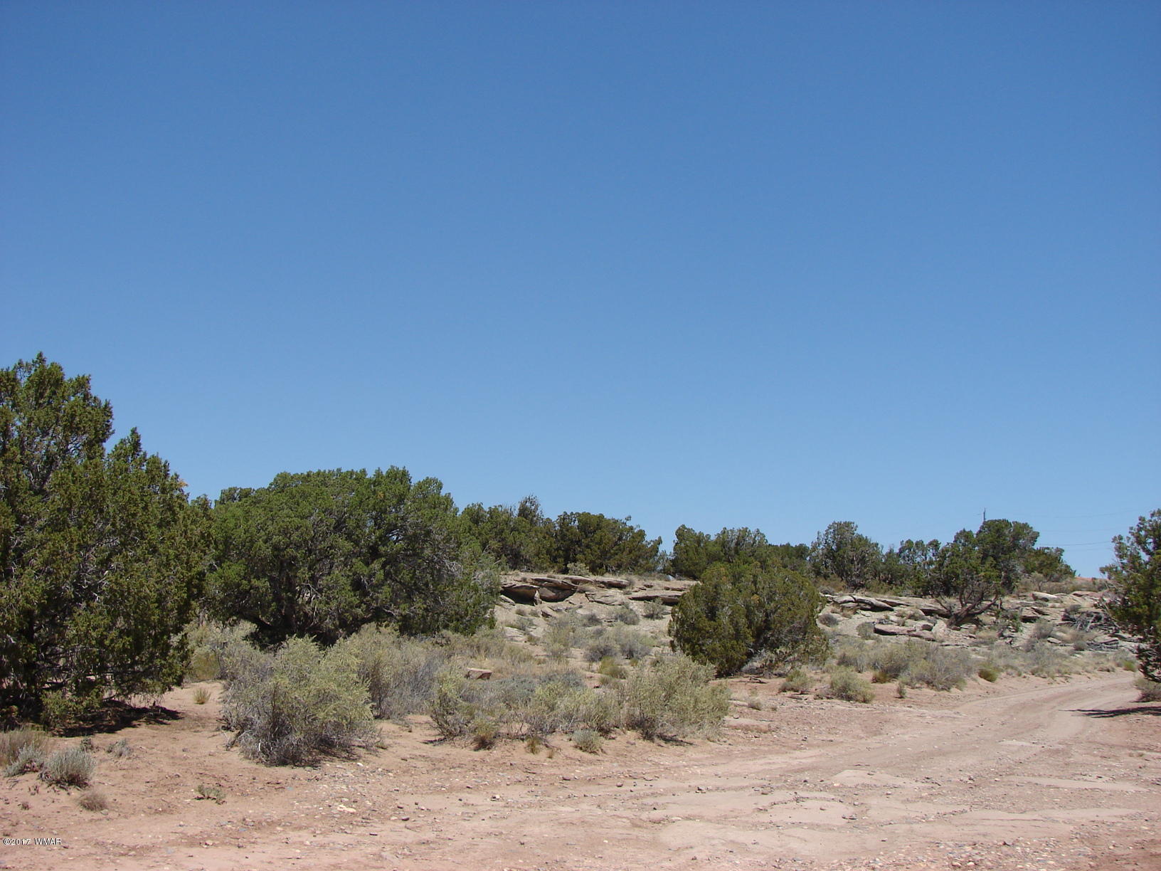 4650 Damron Valley Road Snowflake, AZ 85937 - Photo 3 of 4 a view of a dry yard with trees in the background