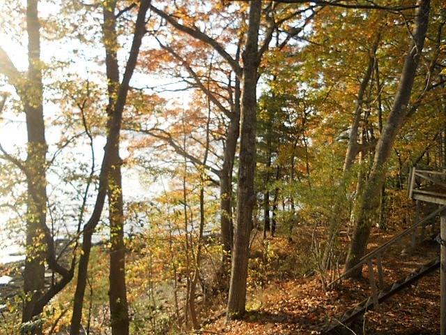 558 River Road Bucksport, ME 04416 - Photo 16 of 18 Photo