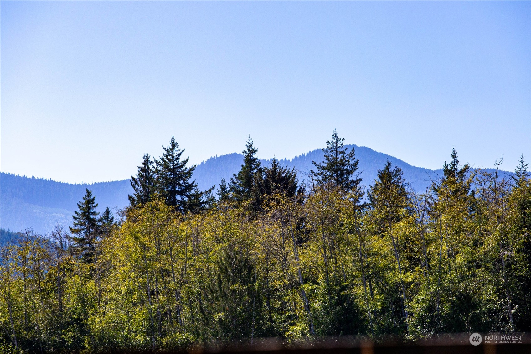 283 Schmitt Road Port Angeles, WA 98363 - Photo 30 of 40 a view of a city