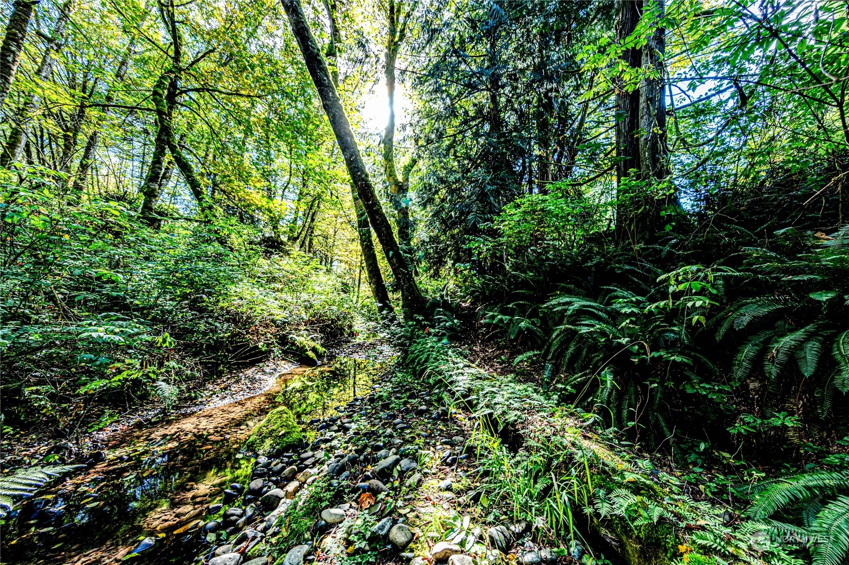 283 Schmitt Road Port Angeles, WA 98363 - Photo 34 of 40