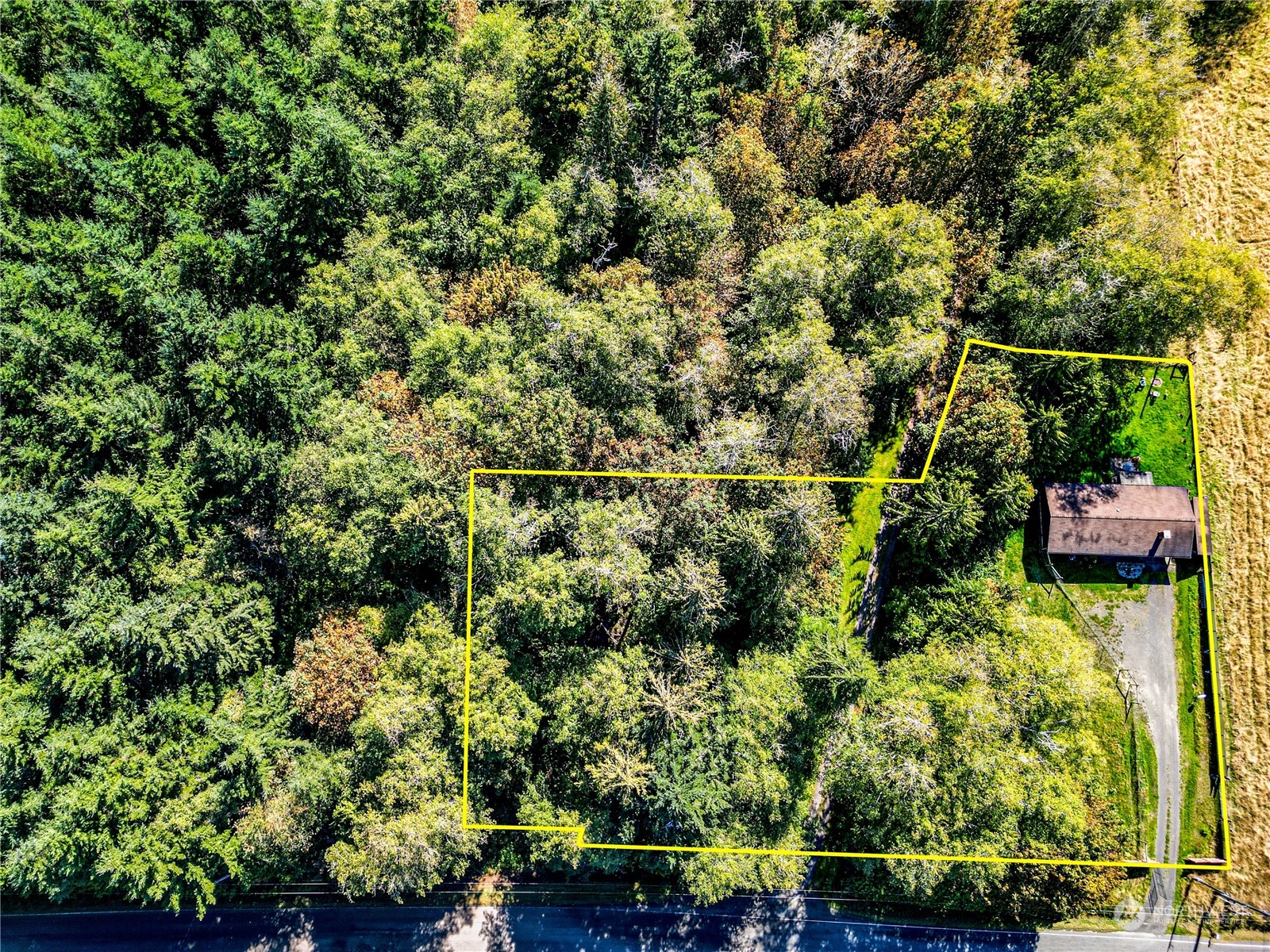 283 Schmitt Road Port Angeles, WA 98363 - Photo 39 of 40 an aerial view of residential house with outdoor space and trees all around