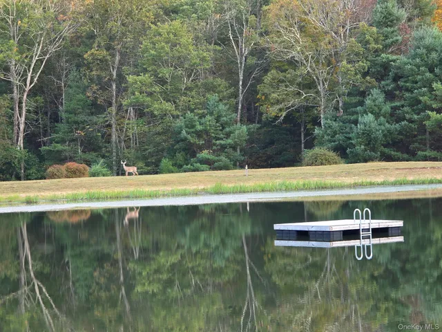 a view of a swimming pool with a yard