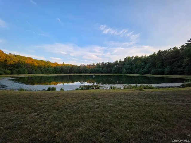 a view of a lake with houses in the back