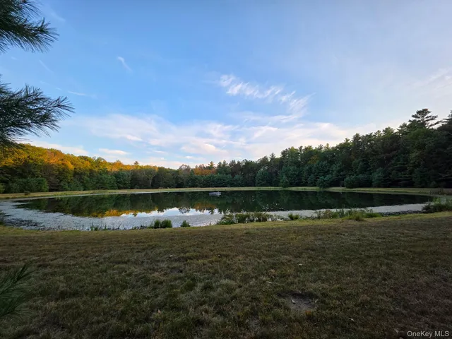 a view of outdoor space with deck and trees