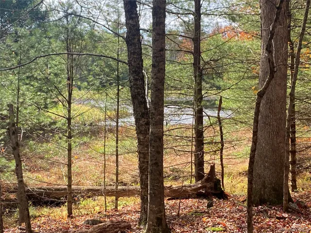 $148,000 | Black Bear Court, Barryville, NY 12719