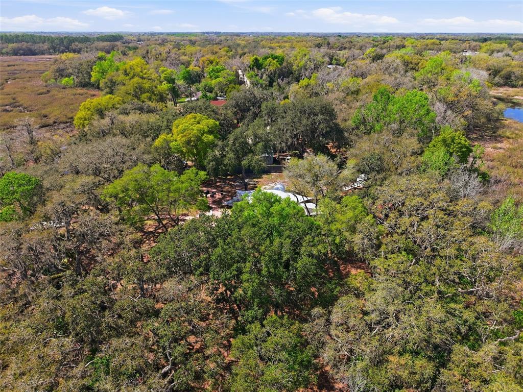 7570 East Ringer Court Inverness, FL 34453 - Photo 33 of 43