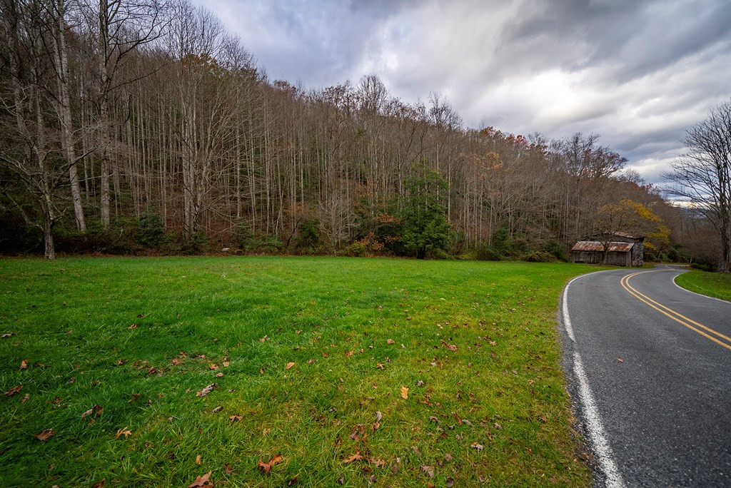 149 Floyd Carpenter Road Robbinsville, NC 28771 - Photo 10 of 29 Gallery Image 10