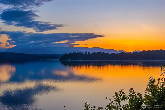 a view of a grassy field with trees in the background