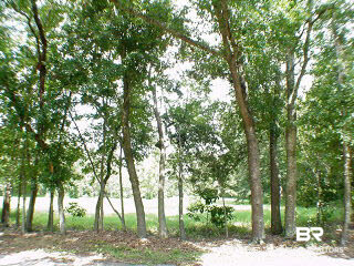 0 Westley Street Fairhope, AL 36532 - Photo 1 of 1 Main View