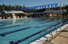 742 Ginger Mill Drive St. Johns, FL 32259 - Photo 26 of 32 a view of a house with a yard